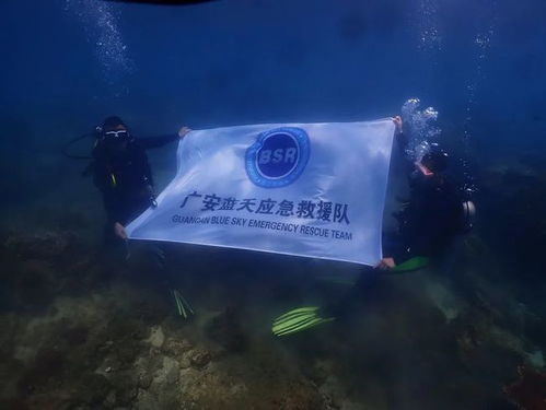 疫情的蔓延，10省份18市的共同挑战与应对策略