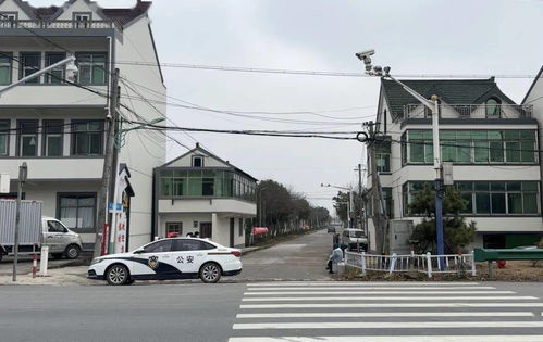上海新增本土确诊8例，理解疫情动态与个人防护的重要性