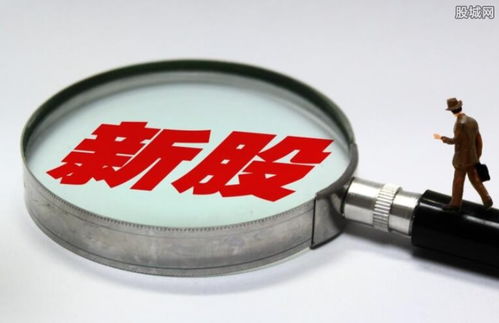 投资者指南，全面解析如何申购新股的详细流程