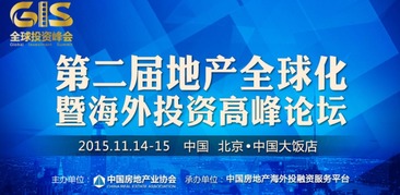 外商直接投资，全球经济一体化下的机遇与挑战
