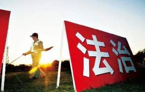 探索正义的窗口，中国法制新闻网如何照亮法治之路