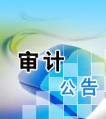 深入解析，财务收支审计报告的撰写技巧与范例