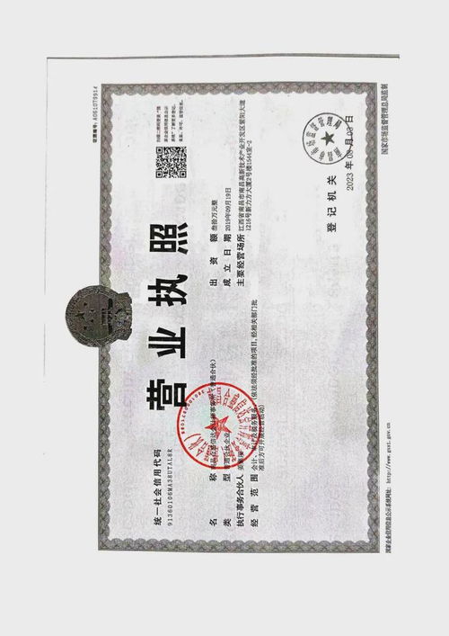 深入解析，财务收支审计报告的撰写技巧与范例