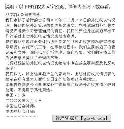 深入解析，财务收支审计报告的撰写技巧与范例