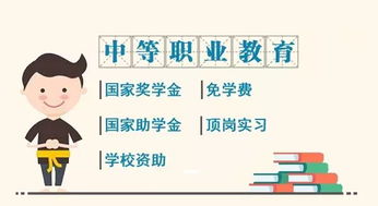 摇号新政策，公平与效率的双重奏