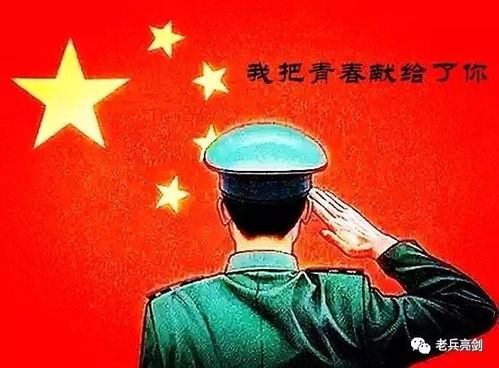 军人家属待遇，尊重与关怀的体现