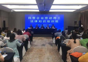 杭州市工商管理局，守护市场秩序，促进经济发展的幕后英雄