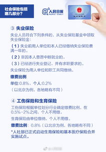 如何自助缴纳社保，简单步骤与实用指南