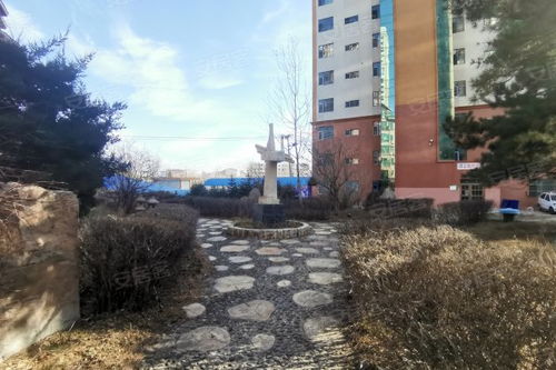 沈丘疫情，我们如何共同守护家园
