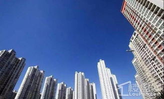 家的港湾，房地产业务的奥秘与魅力