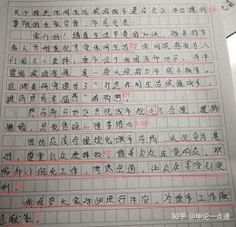 如何撰写一份完美的申请书，格式与技巧全解析