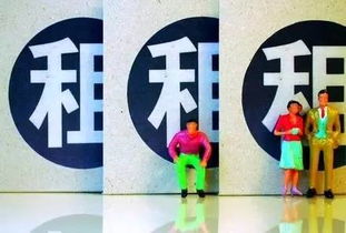绵阳租房市场解析，个人房屋出租的机遇与挑战
