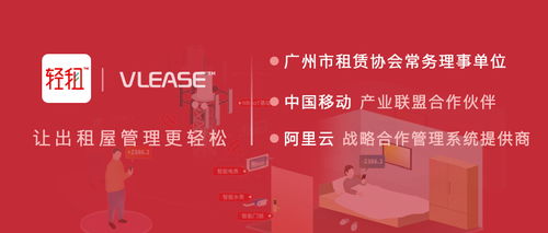 绵阳租房市场解析，个人房屋出租的机遇与挑战