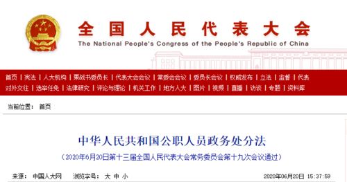 深入解析，政务处分法对公务员行为规范的影响与意义
