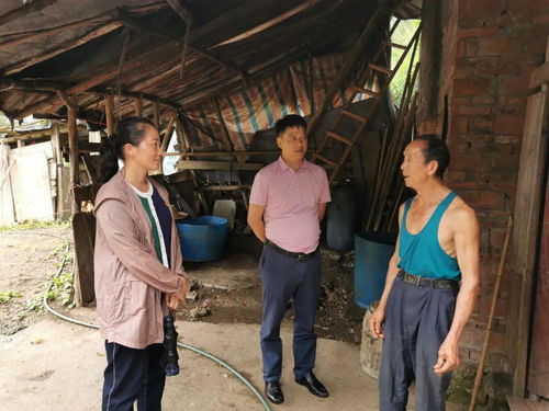 长沙枪击案，社会安全与个人责任的反思