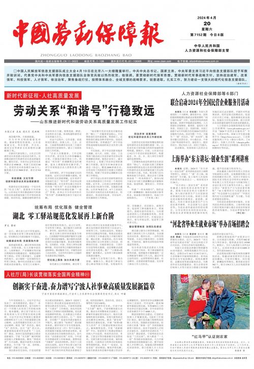能力建设年，个人成长与职业发展的新篇章