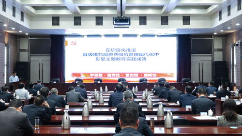 大连地税局，税务管理的现代化与服务创新