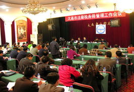 大连地税局，税务管理的现代化与服务创新