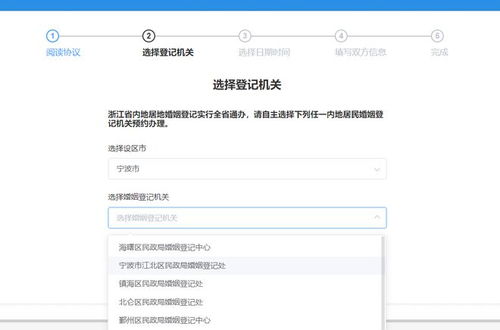 宁波结婚登记，流程、要求与实用指南