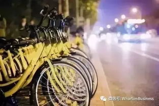 悲剧背后的警示，男孩骑ofo被撞亡事件深度剖析