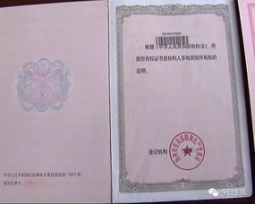 深入了解产权证查询，保护您的财产权益