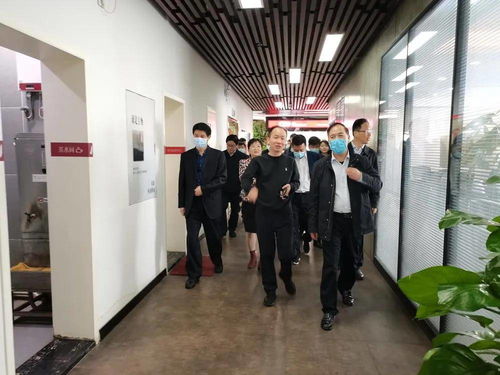 上海市医保，全面解读与实用指南