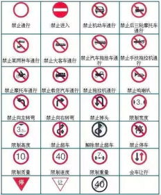 如何轻松掌握日照交警违章查询，实用指南与技巧