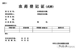 法定代表人资格证明书，企业合规与法律责任的桥梁