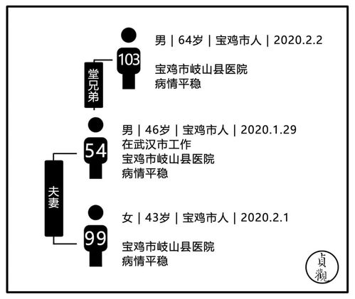陕西疫情分析，235例确诊病例关系图谱解析