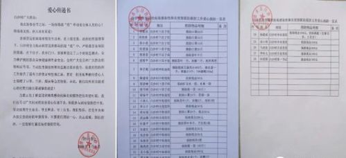 携手共渡难关，一份贫困补助申请书的指南