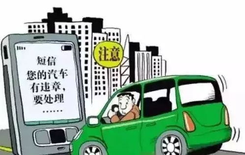 宁波电子警察违章查询，便捷、高效、透明—保障道路安全的新利器