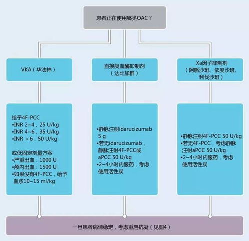 轻松掌握注销公司代理的流程与注意事项