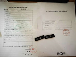 深入了解对外贸易经营者备案登记，开启国际贸易之门