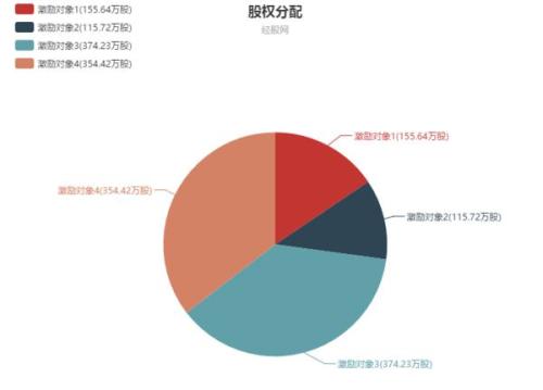 解锁企业增长密码，深度解析股权激励方案