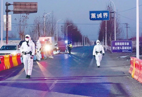 石家庄疫情新动态，学生确诊案例的警示与防控措施