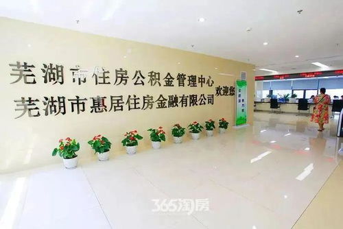 芜湖公积金查询，便捷掌握您的公积金账户动态