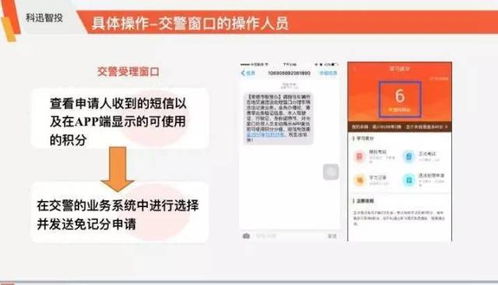 常德交通违章查询，便捷、高效、透明的信息获取之道