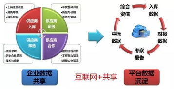 深度解析，政府采购招标代理的角色、流程与未来趋势