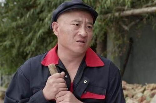 高晓松酒驾事件，公众人物的责任与法律的严肃性