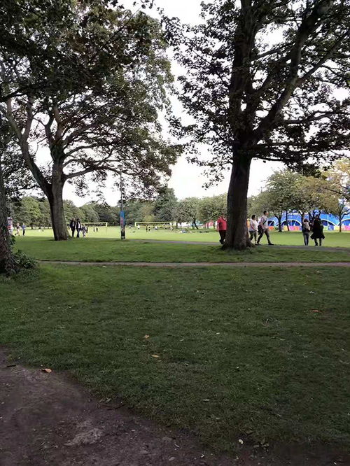 生活中的警报，揭秘威胁的真面目