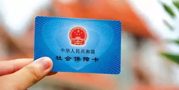 深圳社保查询，掌握您的权益，保障未来