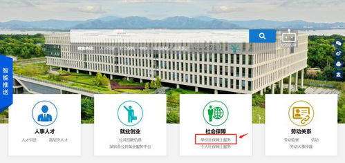 深圳社保查询，掌握您的权益，保障未来