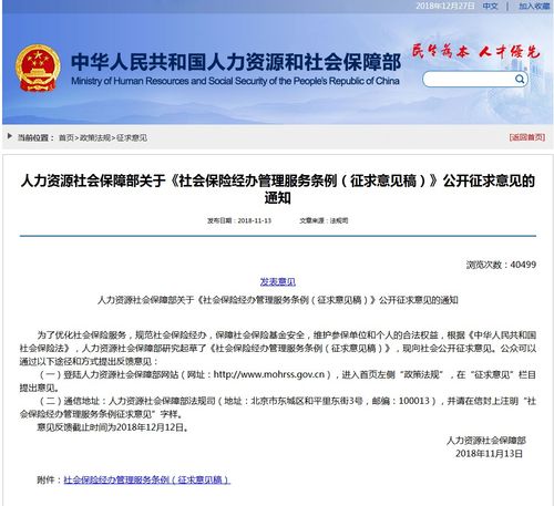 深圳社保查询，掌握您的权益，保障未来