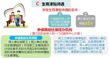 生育保险报销时间，详细指南与实用建议