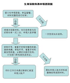 生育保险报销时间，详细指南与实用建议