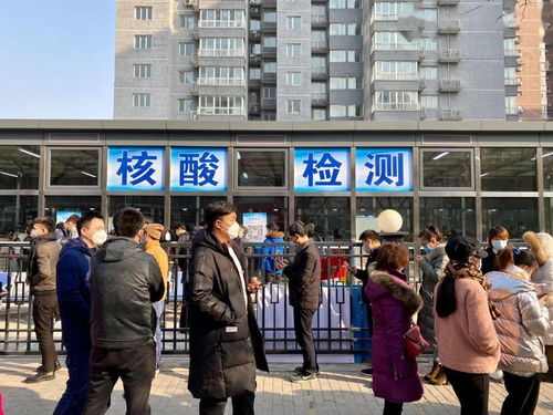 石家庄疫情新动态，深入解析最新确诊5名学生病例