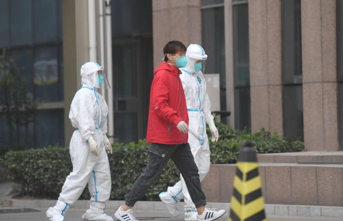 石家庄疫情新动态，深入解析最新确诊5名学生病例