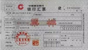 汇票的世界，探索金融工具的多样性