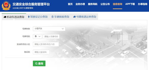 济宁市车辆违章查询，您的智能交通助手