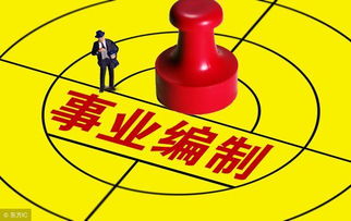 事业单位绩效工资实施方案，激励与公平的平衡艺术